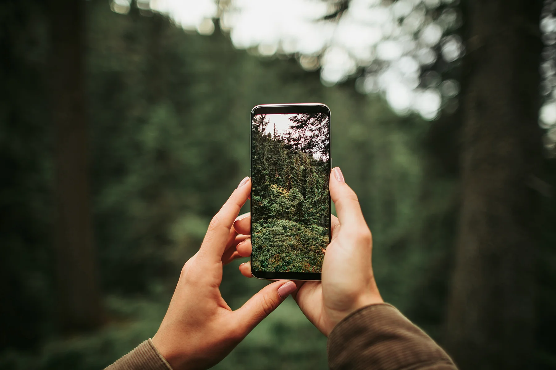 Phone Photography