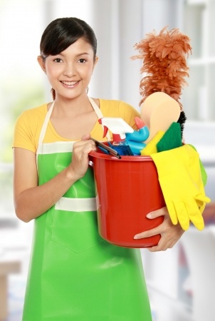 Domestic Helpers