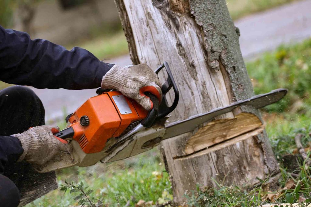 Tree Surgeons