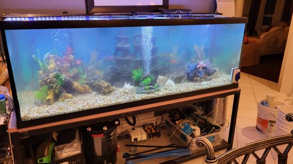 Aquarium Services