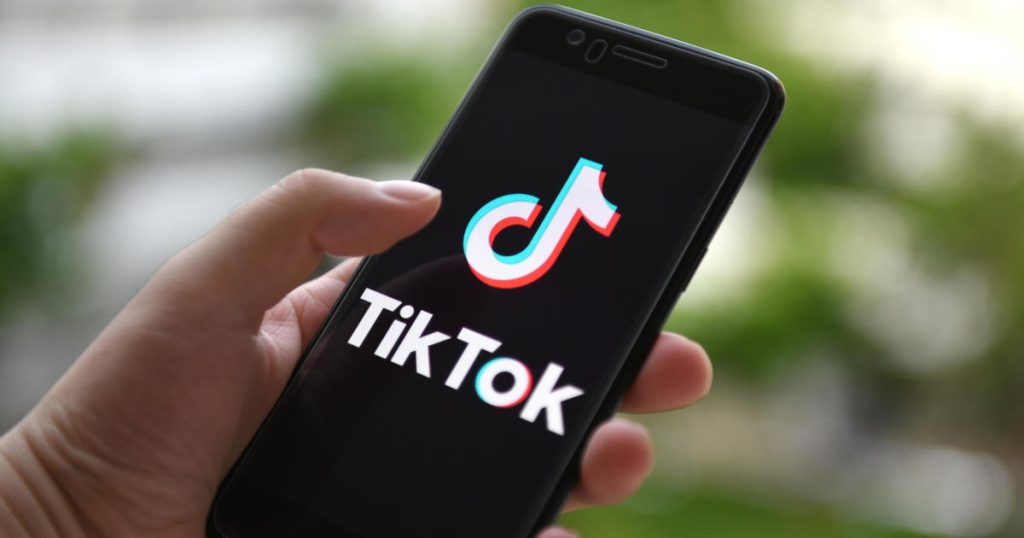TikTok Video Saver