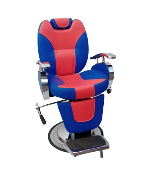 Salon Chair
