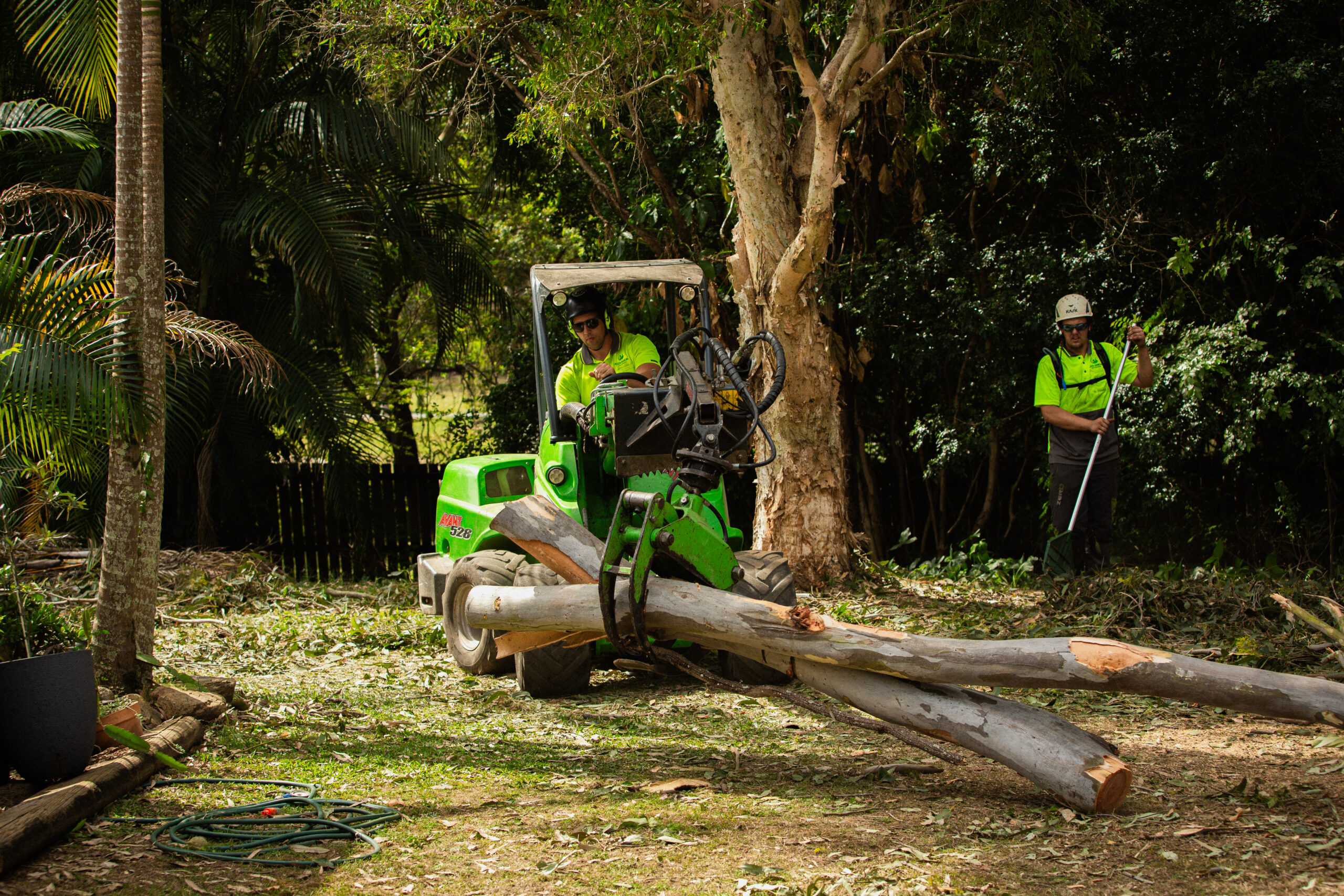 Professional Tree Care